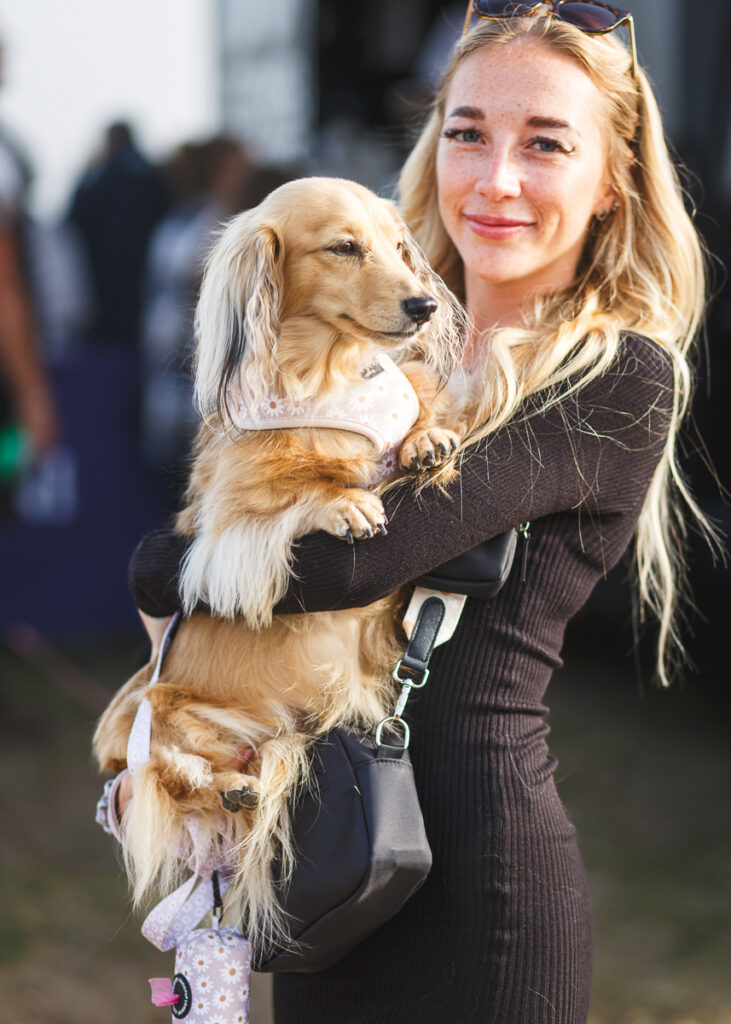 Documenting the Annual Southwold Sausage Dog Walk A Photographer's